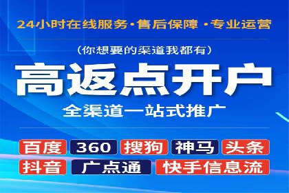 行业标杆的SEM竞价营销案例研究